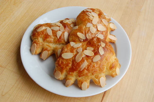 Image result for bear claws